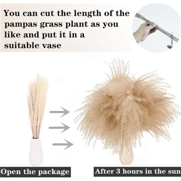 Dried Pampas Grass Decor,100 PCS Pampas Grass Contains Bunny Tails Dried Flowers - Picture 6 of 7